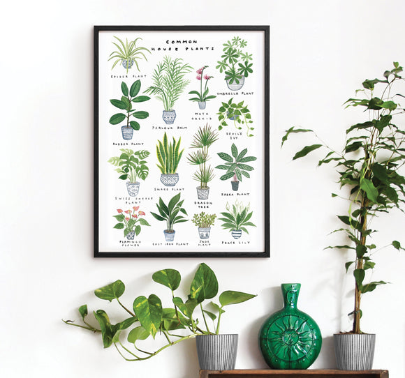 types of house plants pictures Common House Plants' Art Print – Red Gate Arts