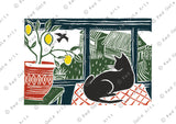'Cat With Lemons' Art Print