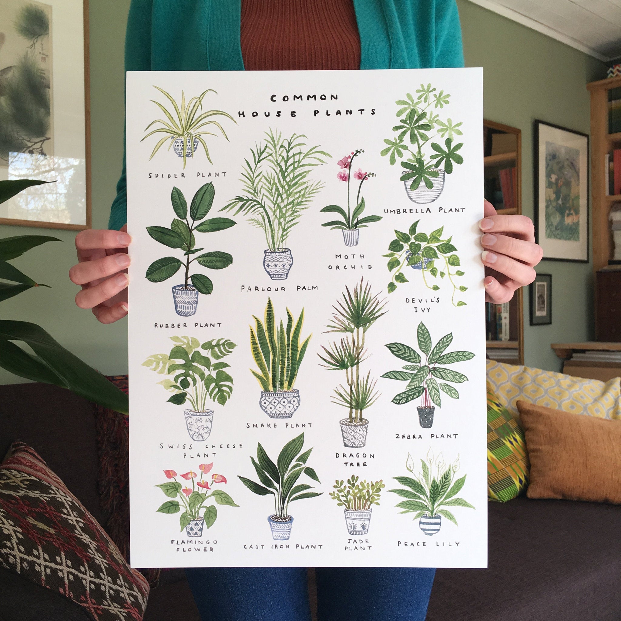 house plant chart Common House Plants' Art Print – Red Gate Arts