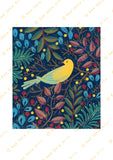Watermarked Canary art print by Kate Sampson for Red Gate Arts