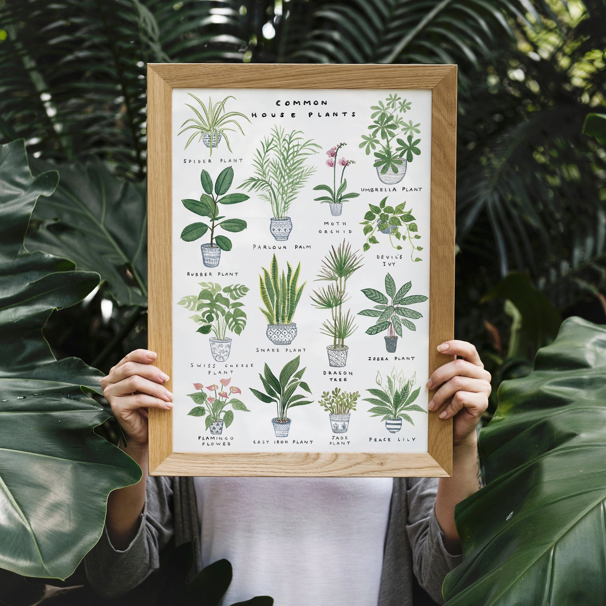 Common House Plants' Art Print – Red Gate Arts