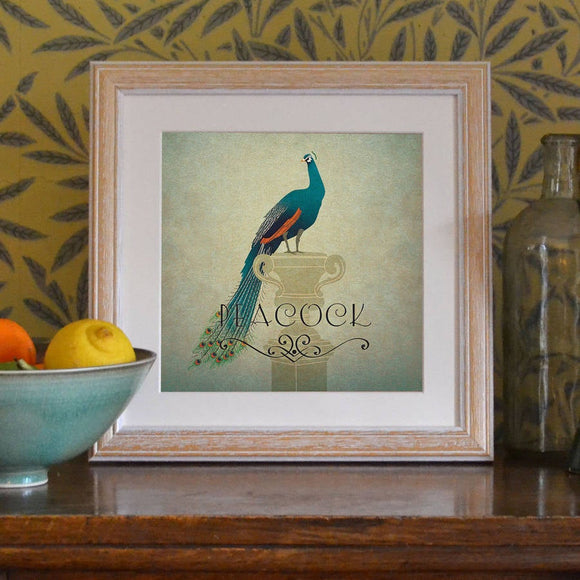 'Peacock' Art Print
