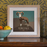 'Urial' Art Print
